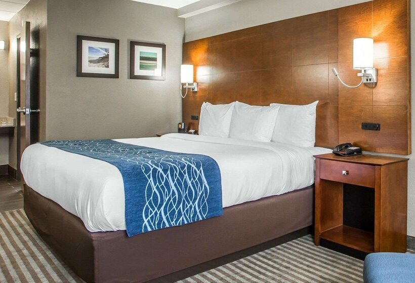 בית מלון כפרי Comfort Inn Hammond I94