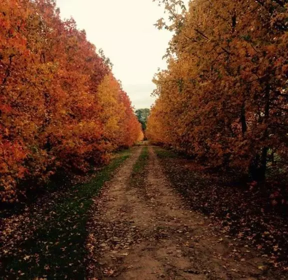 هتل Estancia El Cencerro