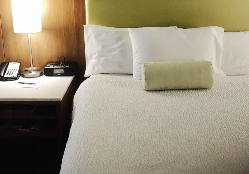 호텔 Springhill Suites By Marriott Madera