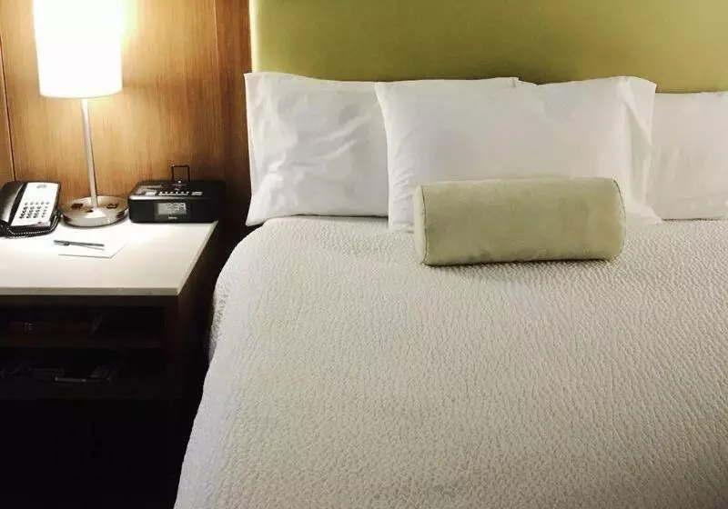 酒店 Springhill Suites By Marriott Madera