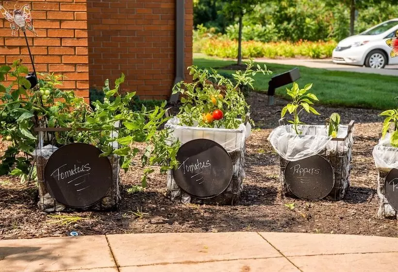 ホテル Towneplace Suites By Marriott Erie