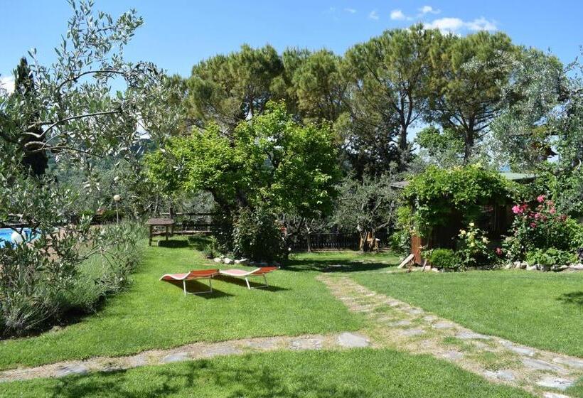 ベッドアンドブレックファースト Casale Asciolo