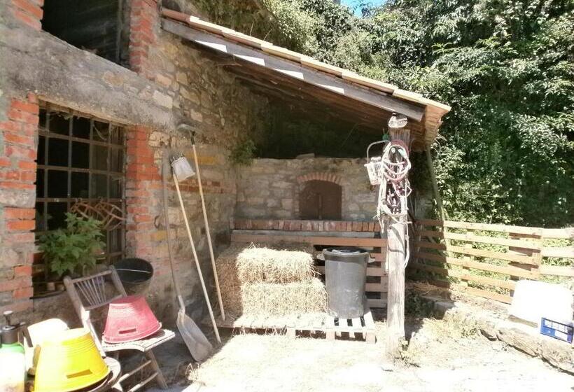 צימר I Poggi Di Grace