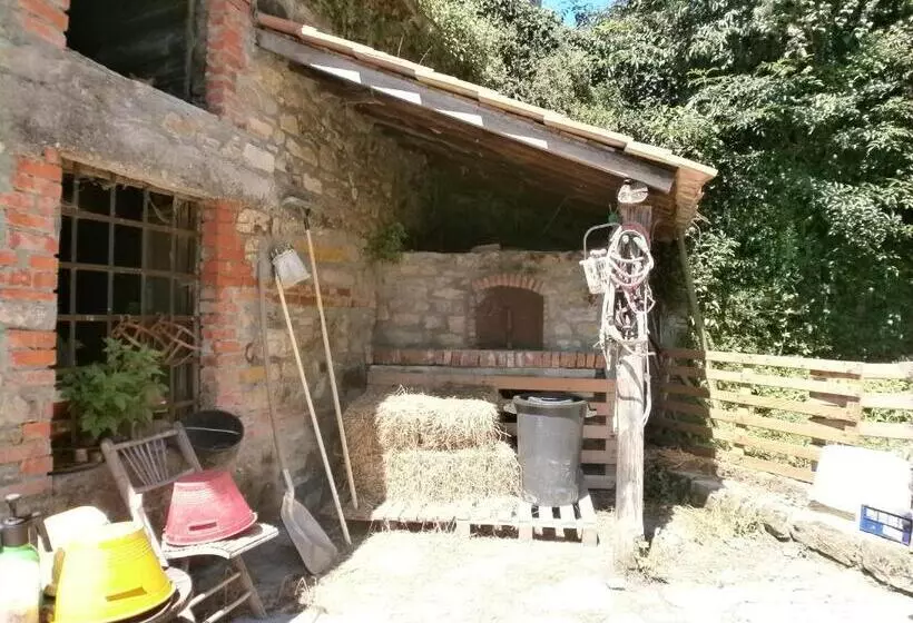 Aamiaismajoitus (B&B) I Poggi Di Grace