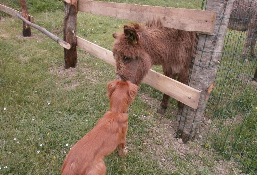 צימר I Poggi Di Grace