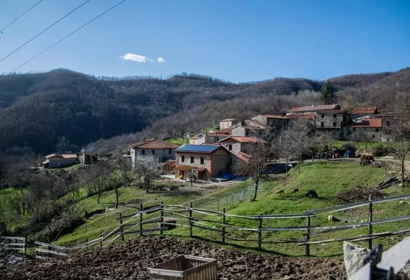 Aamiaismajoitus (B&B) I Poggi Di Grace