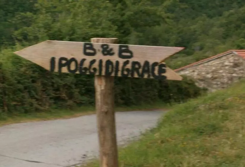 Aamiaismajoitus (B&B) I Poggi Di Grace