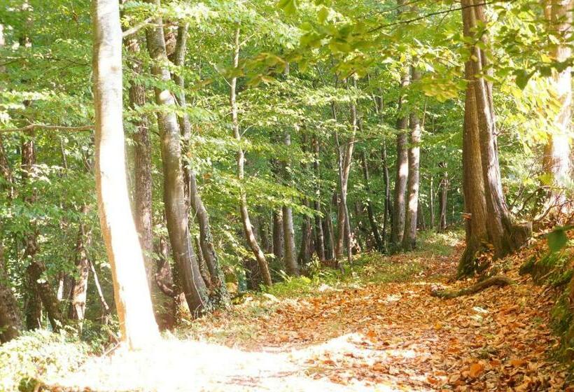 مبيت وإفطار Kêr Neizh Breizh   Chambres D Hôtes   Le Petit Châtelier