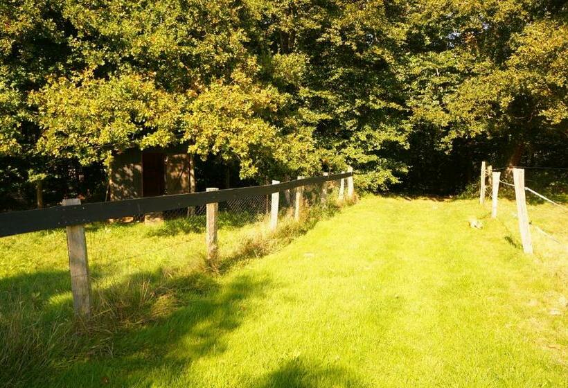 مبيت وإفطار Kêr Neizh Breizh   Chambres D Hôtes   Le Petit Châtelier