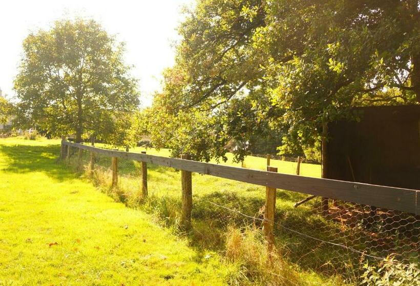 مبيت وإفطار Kêr Neizh Breizh   Chambres D Hôtes   Le Petit Châtelier