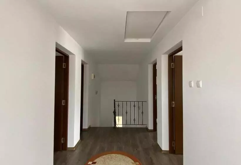 ペンション Casa Neluta