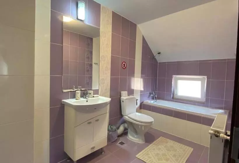 ペンション Casa Neluta