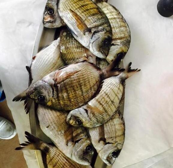 פנסיון Vecchie Mura