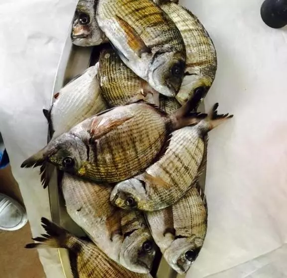 ペンション Vecchie Mura