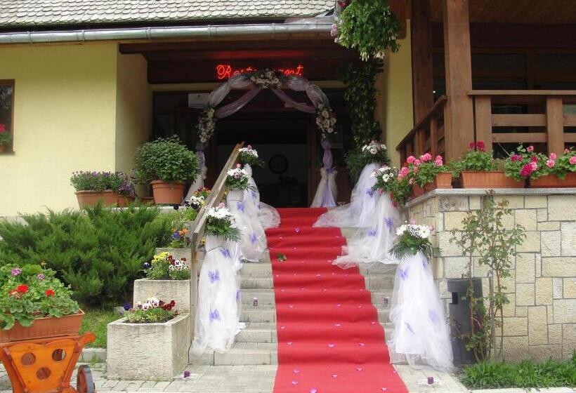 استراحتگاه Complex Turistic Bucovina