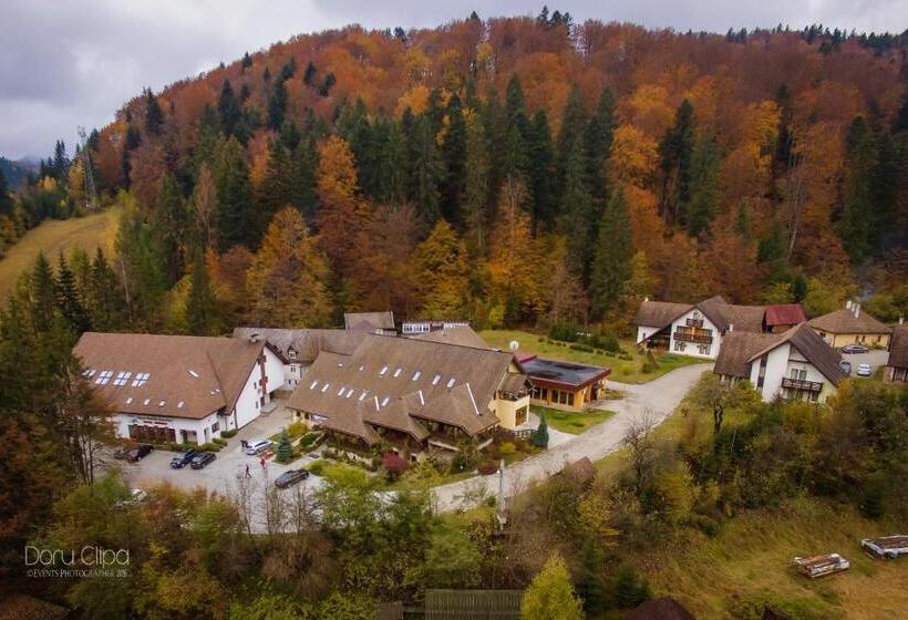 استراحتگاه Complex Turistic Bucovina