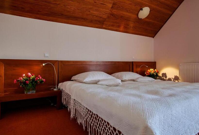 استراحتگاه Complex Turistic Bucovina