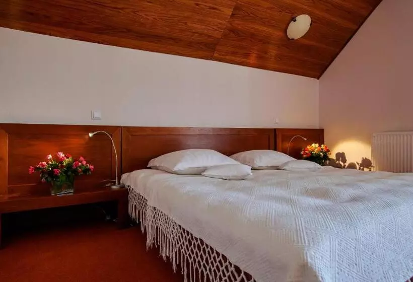 استراحتگاه Complex Turistic Bucovina