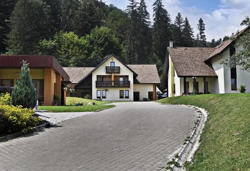 リゾートホテル Complex Turistic Bucovina