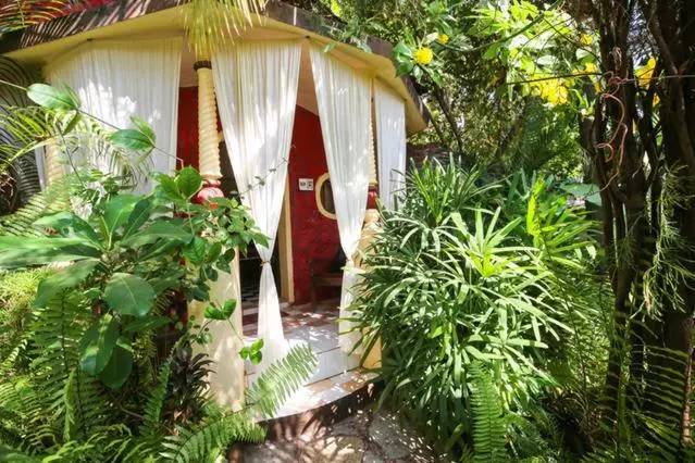 Aamiaismajoitus (B&B) Sunny Cow Village Villa