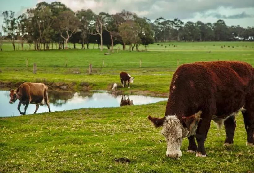 ホテル Discovery Parks   Margaret River