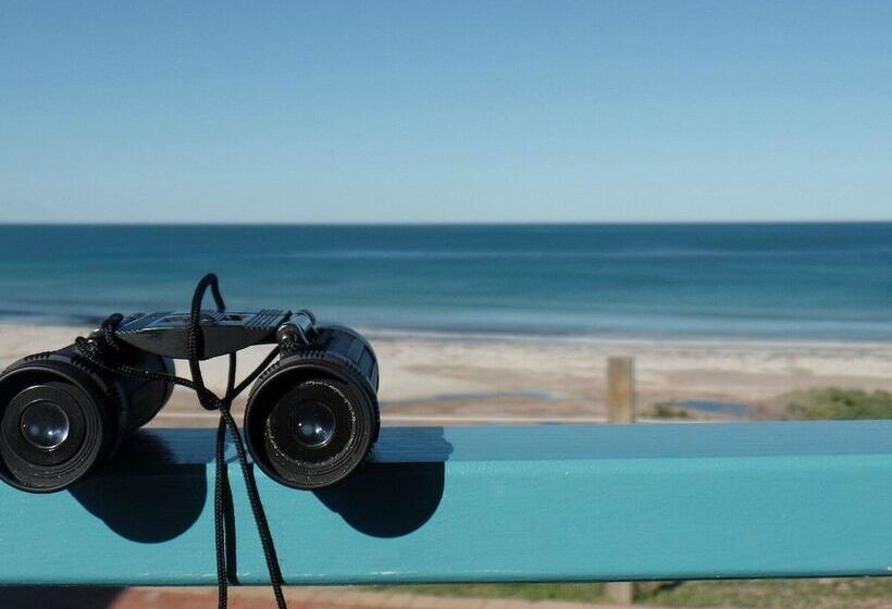 Отель Dongara Tourist Park