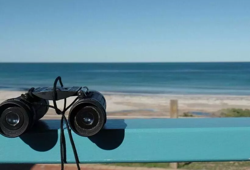 Hotelli Dongara Tourist Park