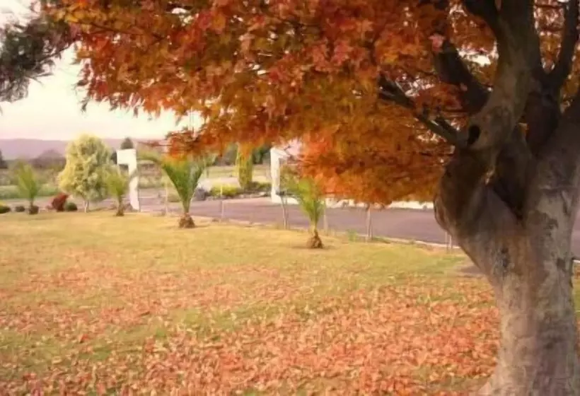 Mountain View Motel, Levin