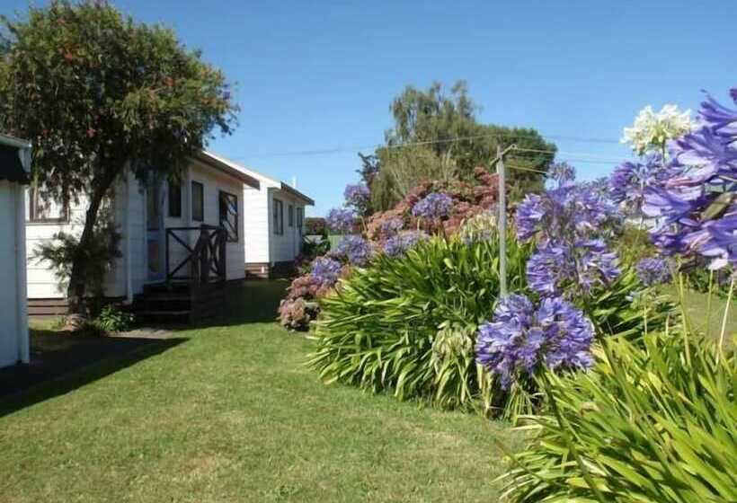 Mountain View Motel, Levin