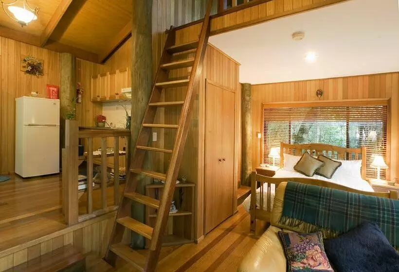 Springbrook Lyrebird Retreat