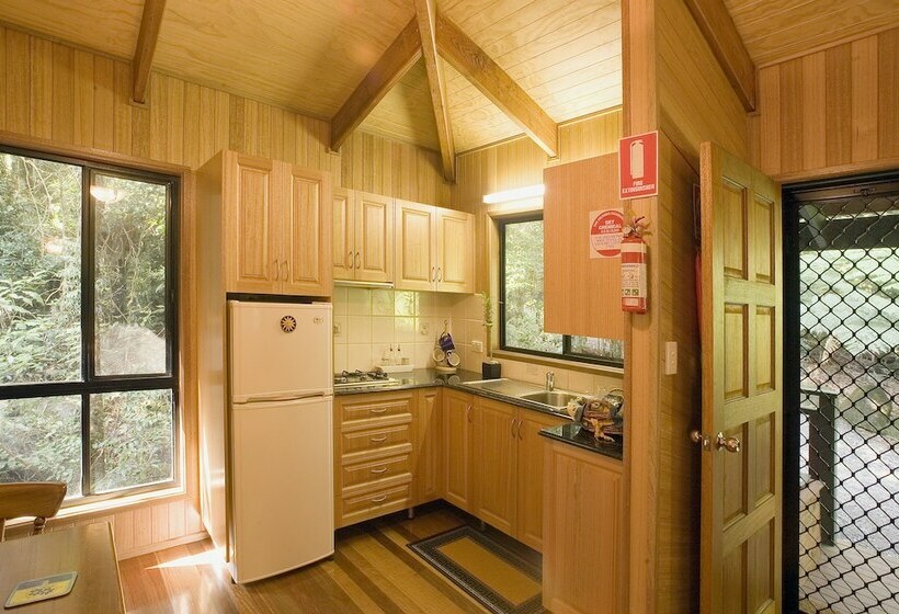 Springbrook Lyrebird Retreat