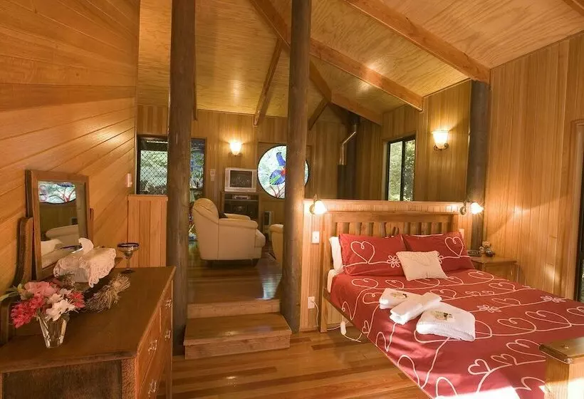 Springbrook Lyrebird Retreat