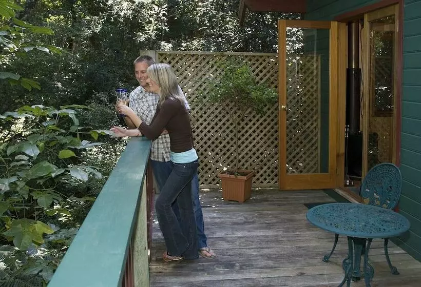 Springbrook Lyrebird Retreat