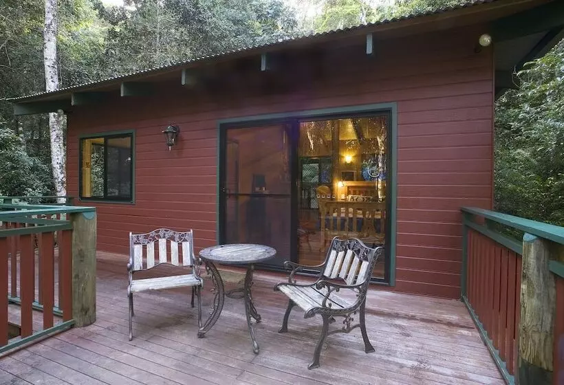 Springbrook Lyrebird Retreat