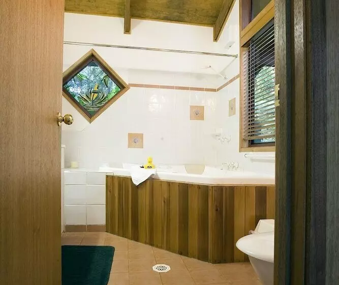 Springbrook Lyrebird Retreat