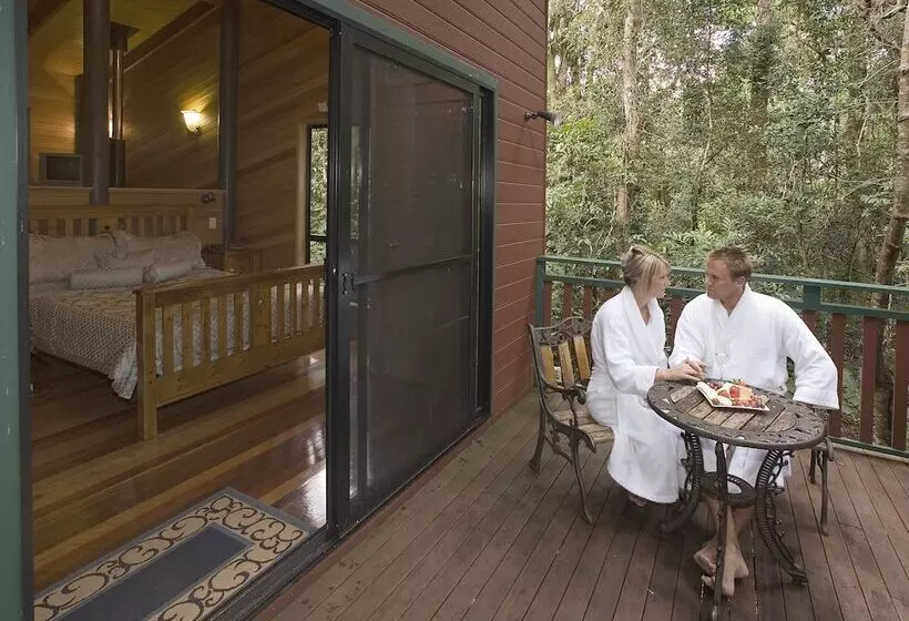 Springbrook Lyrebird Retreat