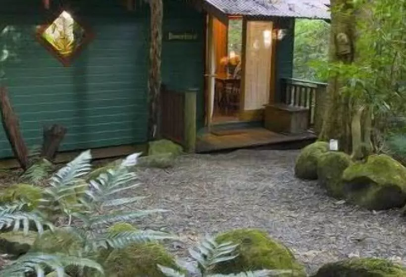 Springbrook Lyrebird Retreat