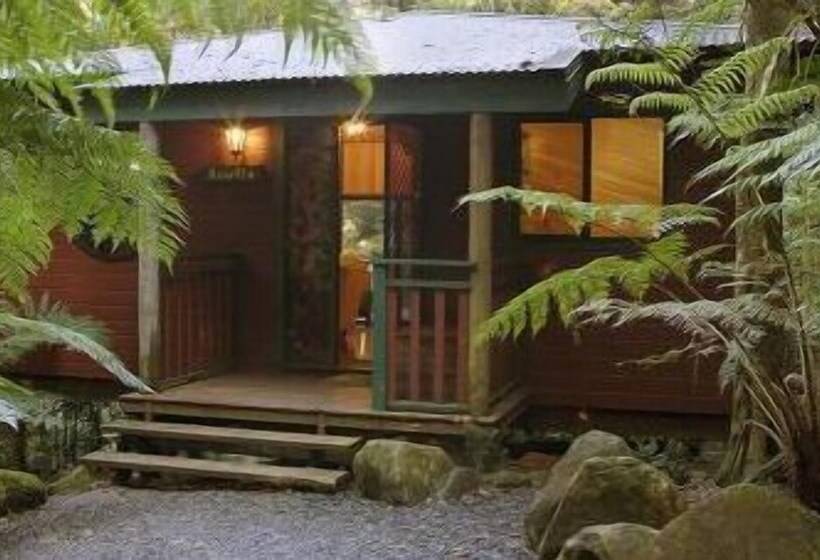 Springbrook Lyrebird Retreat