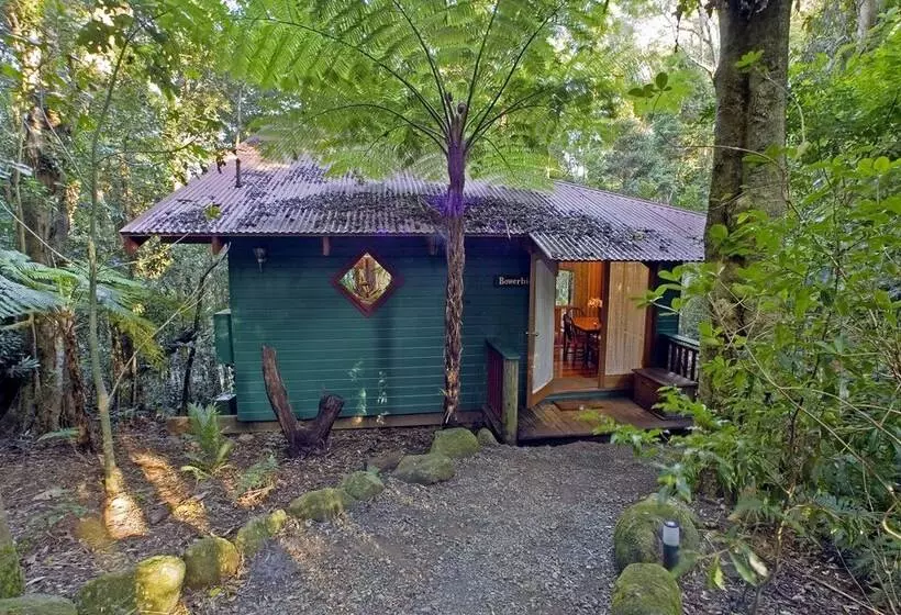 Springbrook Lyrebird Retreat