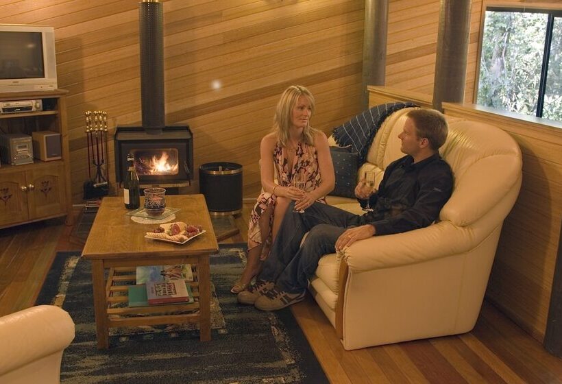 Springbrook Lyrebird Retreat