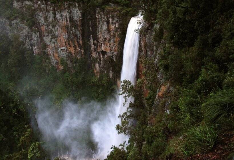 Springbrook Lyrebird Retreat