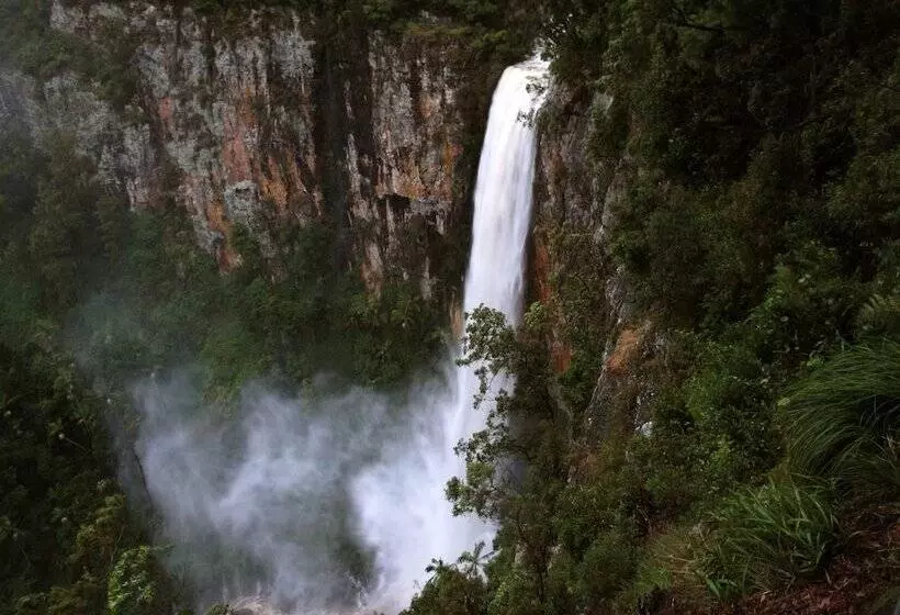 Springbrook Lyrebird Retreat