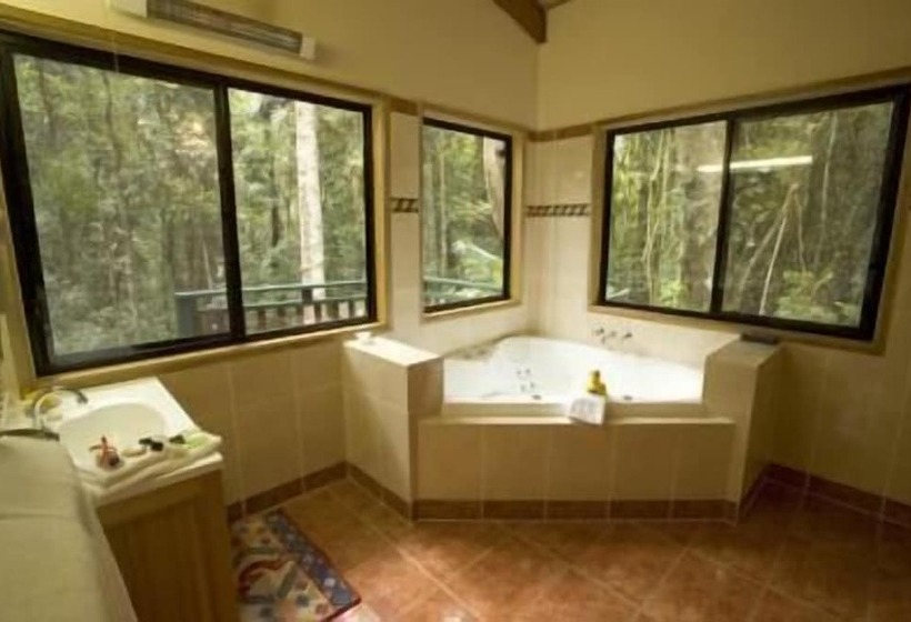 Springbrook Lyrebird Retreat