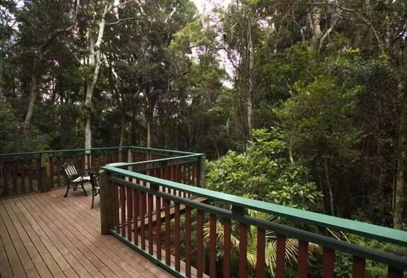 Springbrook Lyrebird Retreat