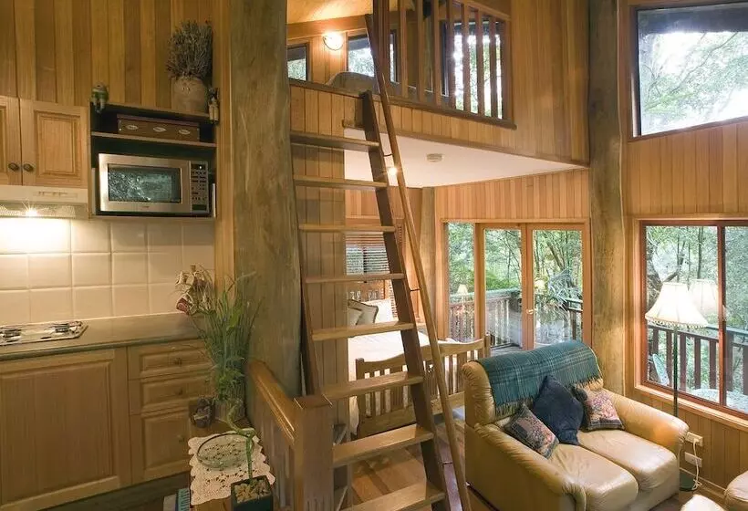 Springbrook Lyrebird Retreat