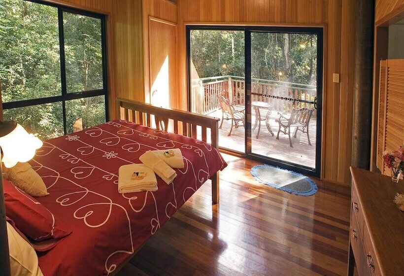 Springbrook Lyrebird Retreat