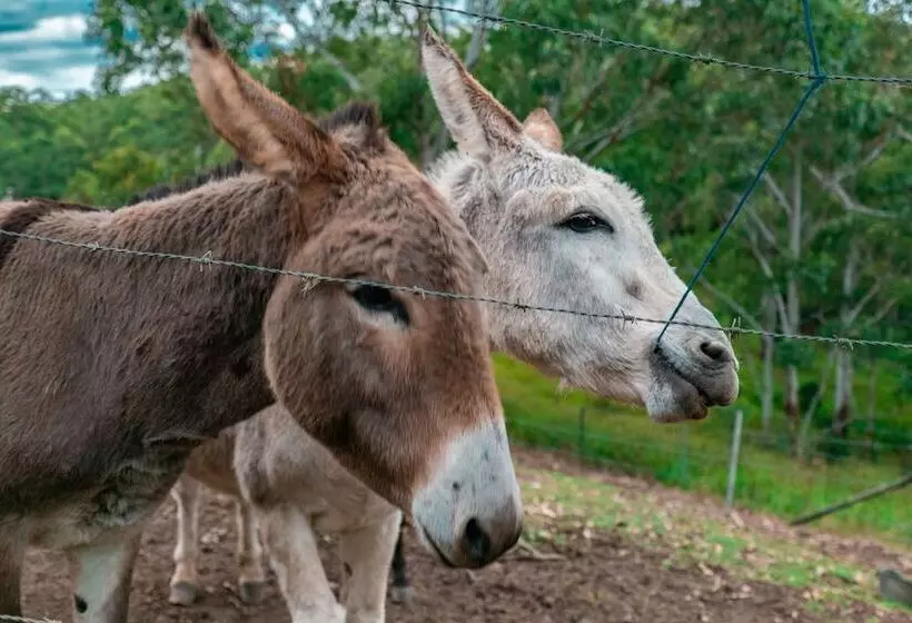 Whispering Valley Cottage Retreat