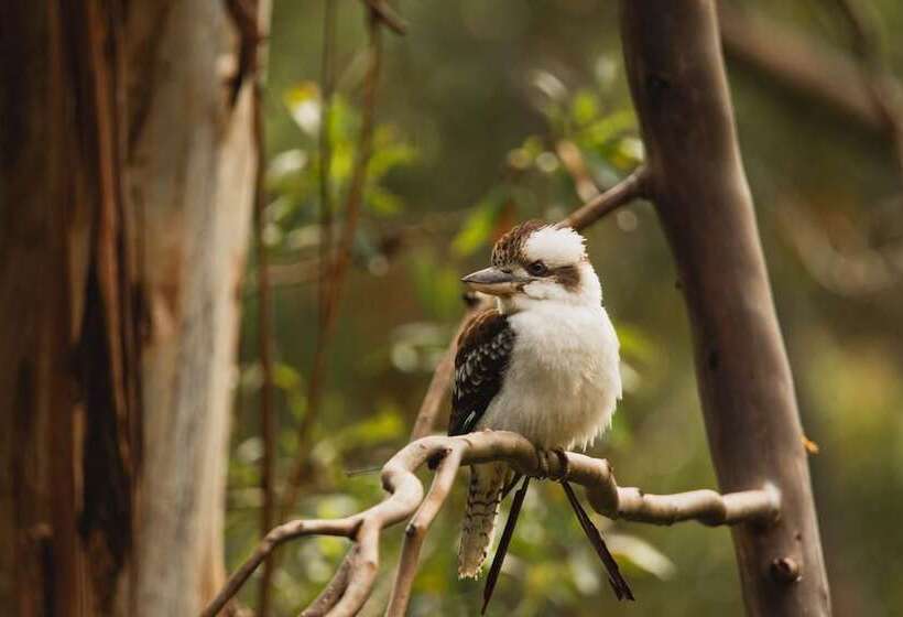 Whispering Valley Cottage Retreat