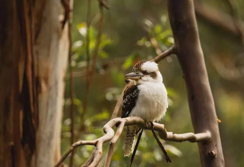 Whispering Valley Cottage Retreat
