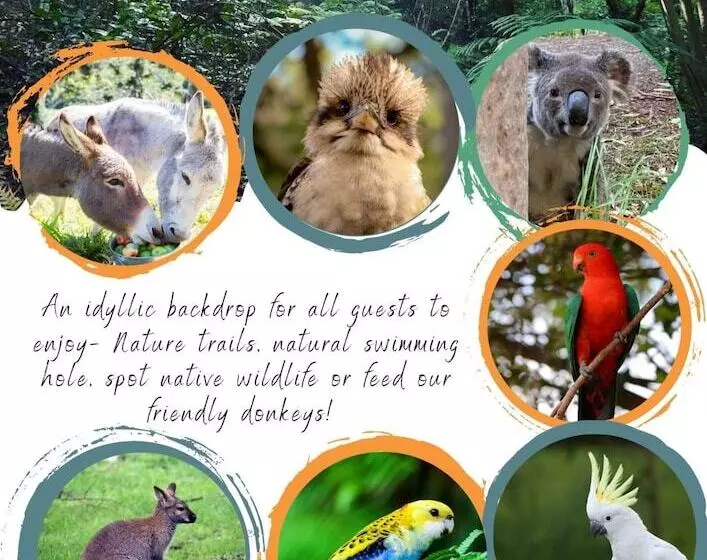 Whispering Valley Cottage Retreat